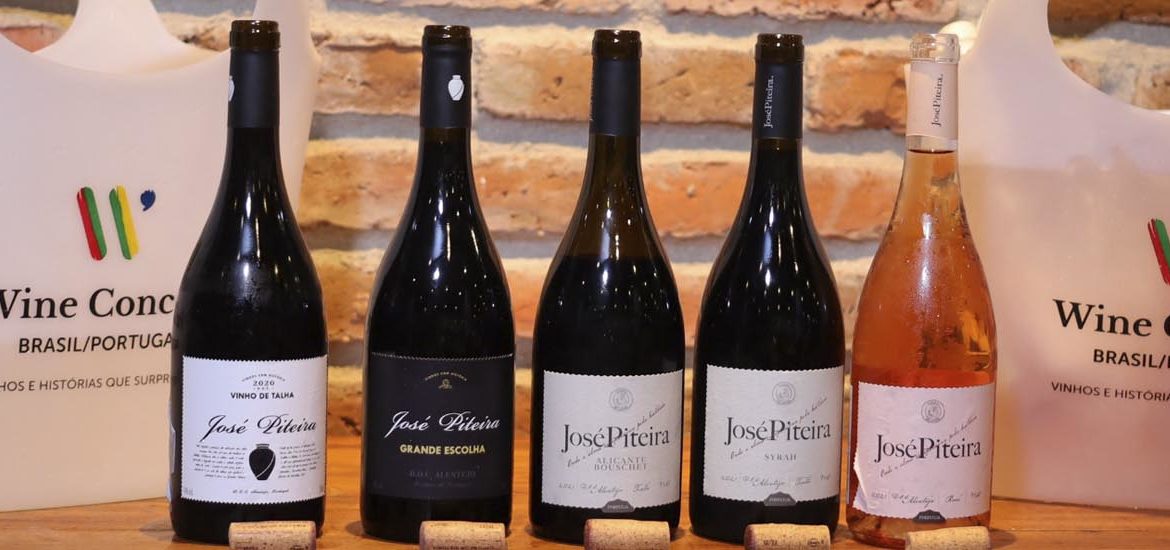 Degustação de vinhos alentejanos da vinícola José Piteira