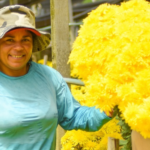 Gravatá celebra a Primavera com sabores e cores no Tardes no Polo